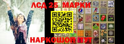 прущие грибы Апшеронск