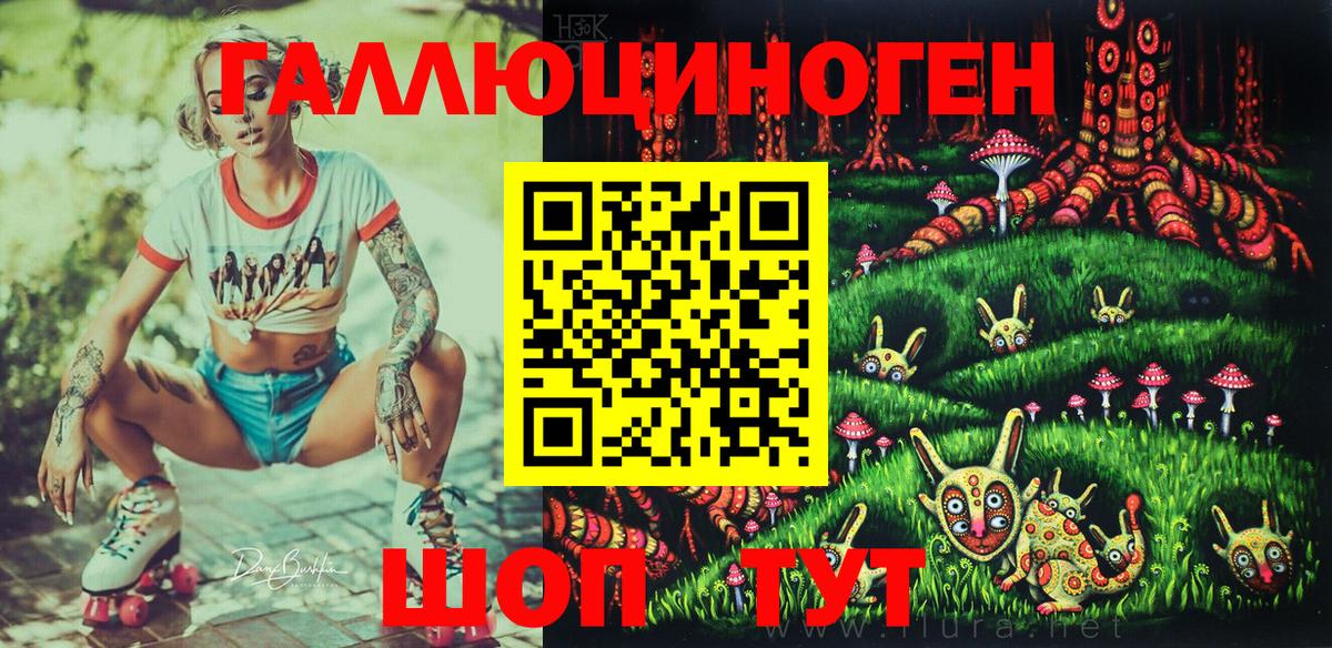 Псилоцибиновые грибы Psilocybe  Вход с VPN  Апрелевка 